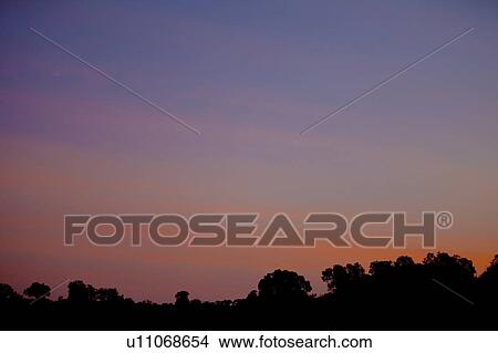 Sunrise Over Savannah View Large Photo Image Picture - Sunrise Over Savannah. Fotosearch