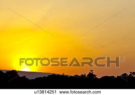 Stock Image - Sunrise Over Savannah. Fotosearch