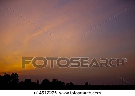 Stock Photography - Sunrise Over Savannah. Fotosearch