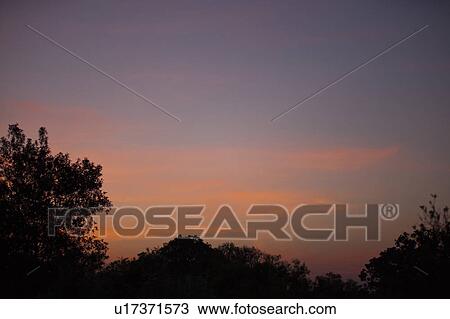 Stock Image - Sunrise Over Trees. Fotosearch