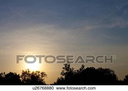Sunrise Over Trees View Large Photo Image Stock Image - Sunrise Over Trees. Fotosearch