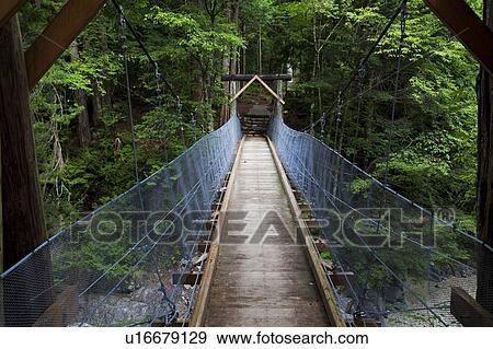 Suspension bridge at Kakizoe gorge, Nagano Prefecture, Honshu, Japan View Large Photo Image Stock Photo - Suspension bridge at Kakizoe gorge, Nagano Prefecture, Honshu, Japan. Fotosearch