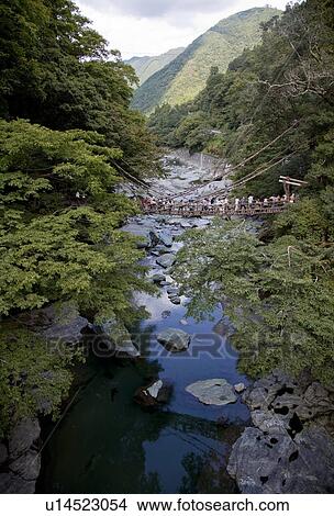 Picture - Suspension Bridge made with vines. Fotosearch