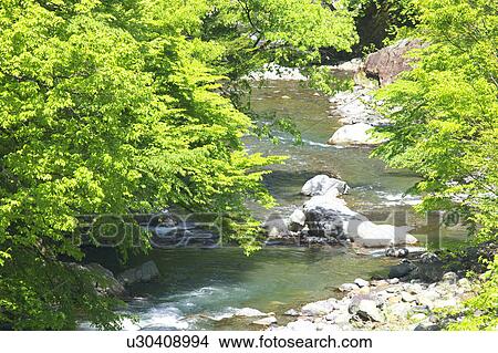 Picture - Tanbasan Gorge, Yamanashi Prefecture, Honshu, Japan. Fotosearch