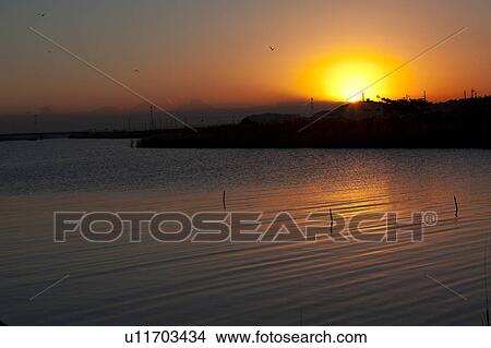 Picture - Teganuma pond at dawn, Chiba Prefecture, Japan. Fotosearch
