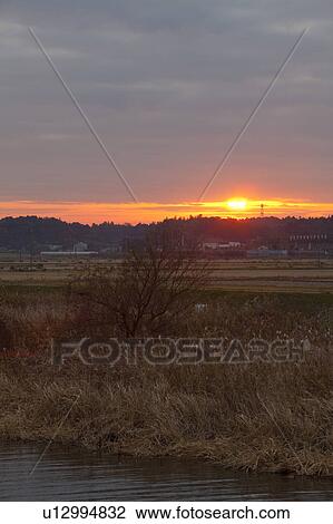 Stock Image - Teganuma pond at dawn, Chiba Prefecture, Japan. Fotosearch
