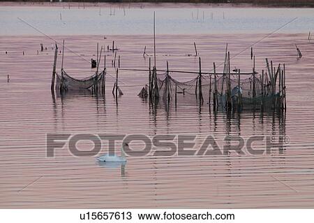 Stock Image - Teganuma pond, Chiba Prefecture, Japan. Fotosearch