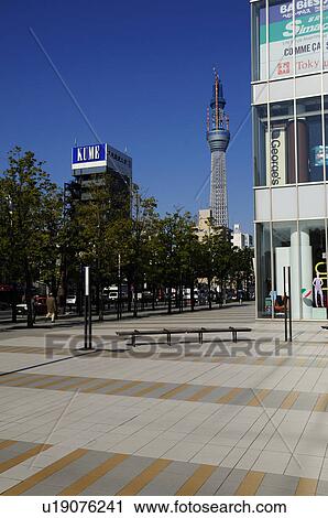 Tokyo Skytree seen from Kinshi Park View Large Photo Image Stock Image - Tokyo Skytree seen from Kinshi Park. Fotosearch