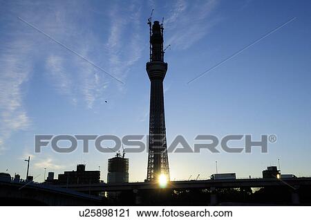 Stock Image - Tokyo Skytree Tower at Dawn. Fotosearch