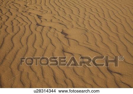 Tottori Sand Dunes, Tottori Prefecture, Honshu, Japan View Large Photo Image Picture - Tottori Sand Dunes, Tottori Prefecture, Honshu, Japan. Fotosearch
