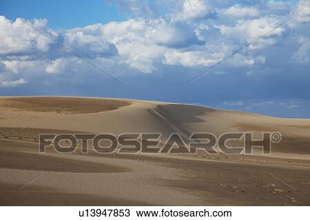 Stock Image - Tottori Sand Dunes, Tottori Prefecture, Honshu, Japan. Fotosearch