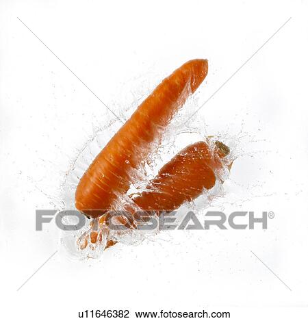 Two Carrots Falling Into Water View Large Photo Image Stock Image - Two Carrots Falling Into Water. Fotosearch