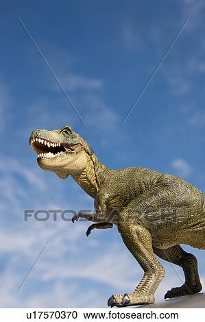 Stock Image - Tyrannosaurus. Fotosearch