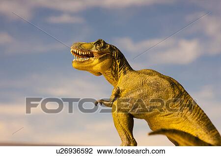 Stock Image - Tyrannosaurus. Fotosearch