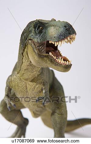 Stock Photo - Tyrannosaurus. Fotosearch