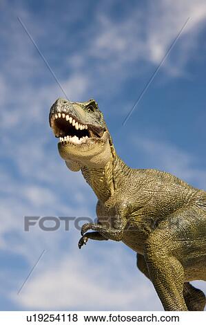 Stock Photo - Tyrannosaurus. Fotosearch