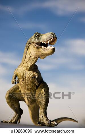 Stock Photograph - Tyrannosaurus. Fotosearch