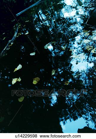 Stock Photo - Water surface of lake, Hokkaido Prefecture, Japan. Fotosearch
