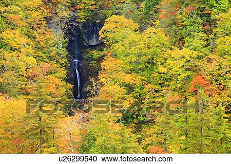 Waterfall in Autumn View Large Photo Image Stock Image - Waterfall in Autumn. Fotosearch
