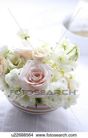 Picture - White Flowers. Fotosearch