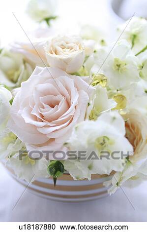 White Flowers View Large Photo Image Stock Image - White Flowers. Fotosearch