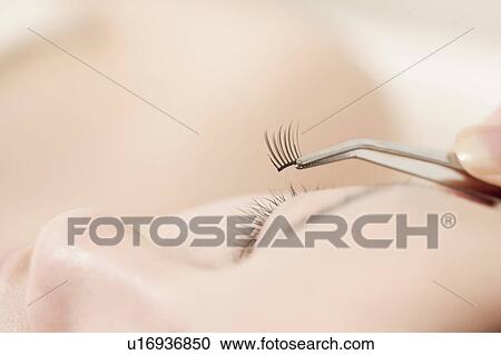 Woman Having Fake Eyelashes Put In View Large Photo Image Stock Image - Woman Having Fake Eyelashes Put In. Fotosearch