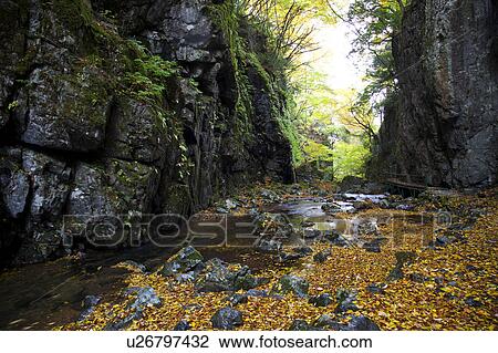 Stock Image - Yamanori gorge, Okayama Prefecture, Honshu, Japan. Fotosearch