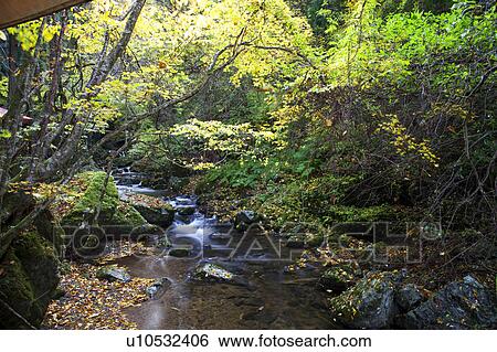 Stock Photograph - Yamanori gorge, Okayama Prefecture, Honshu, Japan. Fotosearch