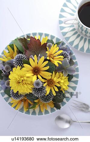 Yellow Flowers, Globe Thistle, and Autumn Hydrangea View Large Photo Image Stock Image - Yellow Flowers, Globe Thistle, and Autumn Hydrangea. Fotosearch