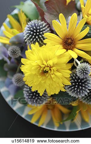 Stock Photo - Yellow Flowers, Globe Thistle, and Autumn Hydrangea. Fotosearch