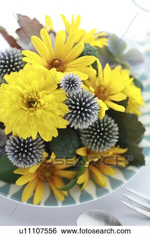 Yellow Flowers, Globe Thistle, and Autumn Hydrangea View Large Photo Image Stock Photograph - Yellow Flowers, Globe Thistle, and Autumn Hydrangea. Fotosearch