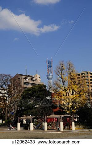 Stock Image - Yokozuna Town Park and Tokyo Skytree Tower. Fotosearch