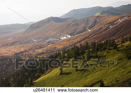 Stock Image - Yoshigadaira Marshland, Gunma Prefecture, Honshu, Japan. Fotosearch