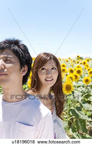 Young Couple in Sunflower Field View Large Photo Image Stock Photo - Young Couple in Sunflower Field. Fotosearch