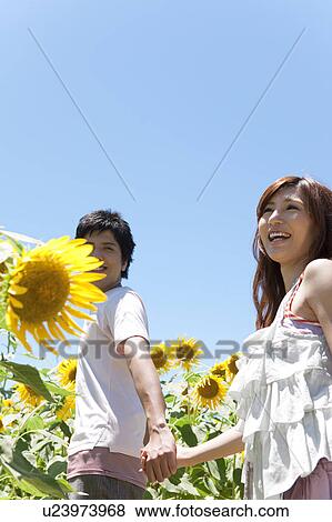 Stock Photo - Young Couple in Sunflower Field. Fotosearch