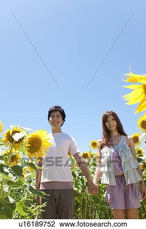 Young Couple in Sunflowers Field View Large Photo Image Stock Image - Young Couple in Sunflowers Field. Fotosearch