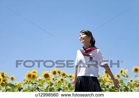 Stock Image - Young Schoolgirl in Sunflower Field. Fotosearch