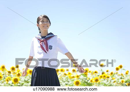 Young Schoolgirl in Sunflower Field View Large Photo Image Stock Photo - Young Schoolgirl in Sunflower Field. Fotosearch
