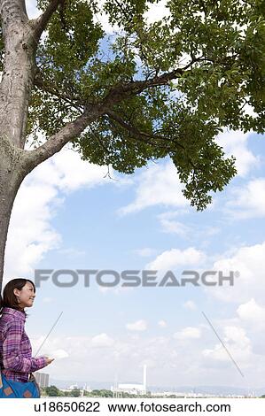 Young Woman Below Tree View Large Photo Image Stock Image - Young Woman Below Tree. Fotosearch