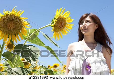 Stock Image - Young Woman in Sunflower Field. Fotosearch