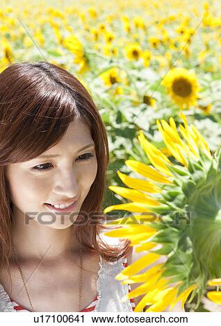 Stock Image - Young Woman in Sunflower Field. Fotosearch