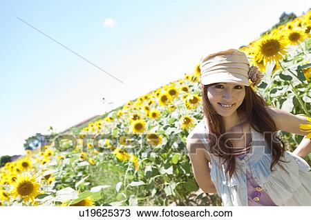 Young Woman in Sunflower Field View Large Photo Image Stock Image - Young Woman in Sunflower Field. Fotosearch