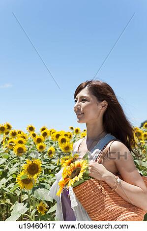 Stock Photo - Young Woman in Sunflower Field. Fotosearch