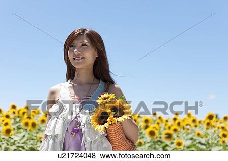 Young Woman in Sunflower Field View Large Photo Image Stock Photo - Young Woman in Sunflower Field. Fotosearch