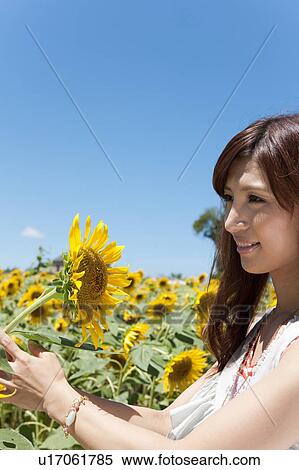 Stock Photography - Young Woman in Sunflower Field. Fotosearch