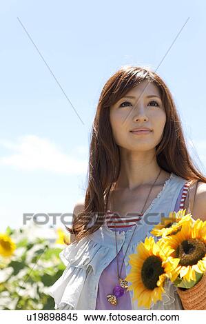 Young Woman in Sunflower Field View Large Photo Image Stock Photography - Young Woman in Sunflower Field. Fotosearch