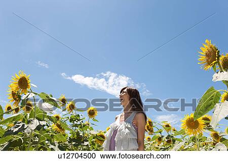 Stock Image - Young Woman Laughing in Sunflower Field. Fotosearch