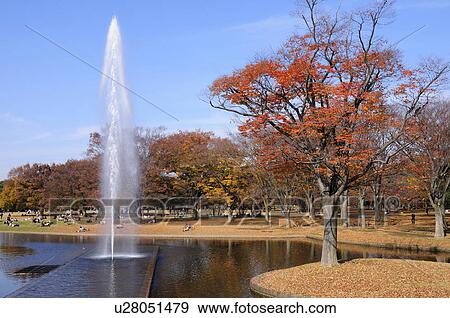 Stock Photo - Yoyogi Park. Fotosearch