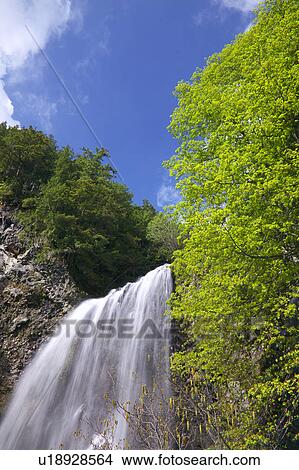 Zengoro-no-taki waterfall, Nagano Prefecture, Honshu, Japan View Large Photo Image Picture - Zengoro-no-taki waterfall, Nagano Prefecture, Honshu, Japan. Fotosearch