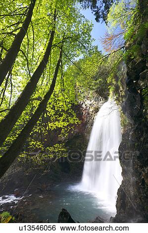 Zengoro-no-taki waterfall, Nagano Prefecture, Honshu, Japan View Large Photo Image Stock Photograph - Zengoro-no-taki waterfall, Nagano Prefecture, Honshu, Japan. Fotosearch